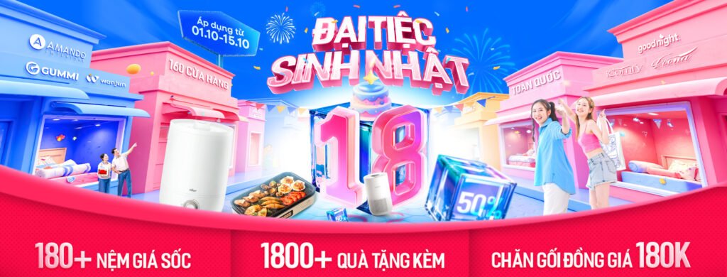 Case Study Facebook Ads Click To Messenger Vua Nệm