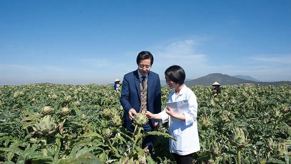 Case Study Ladophar Tái Cấu Trúc Thương Hiệu Moonpress