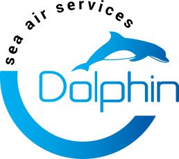 Case Study SEO Tăng Traffic Dolphin Logistics